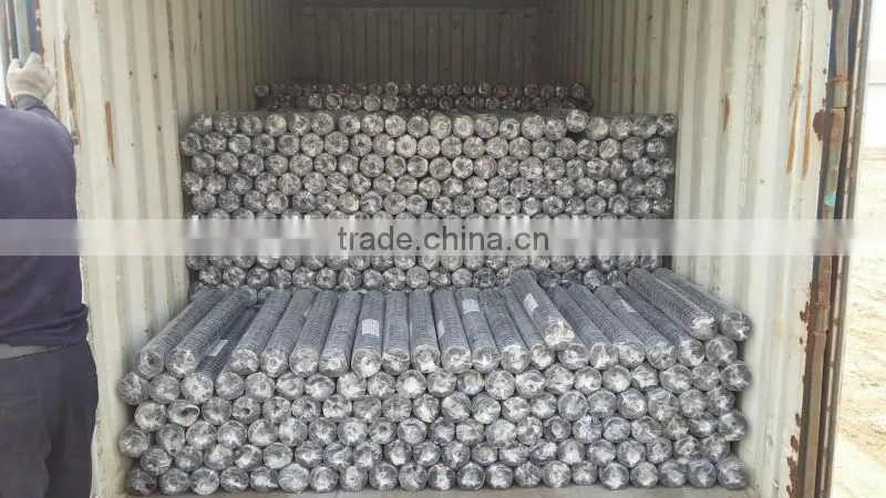 3''Hexagonal galvanized Wire Mesh
