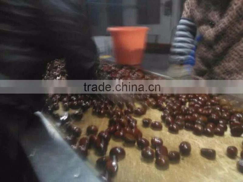 organic water chestnut best quality