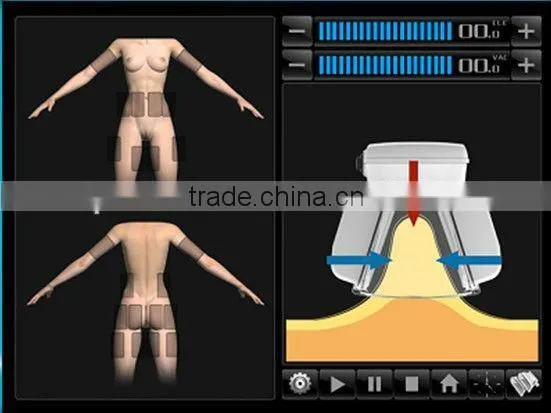 Skin Rejuvenation Device Coolipo V9