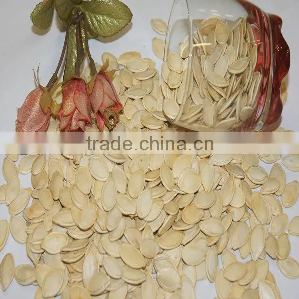 Greer pumpkin kernel