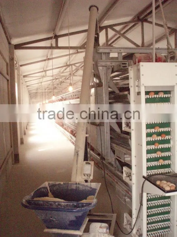 H-type Multi - tier Hot Galvanized Chicken Coop Device