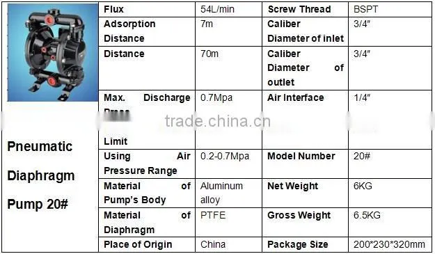 3/4'' Double Pneumatic PTFE Membrane Ink Pump 20#
