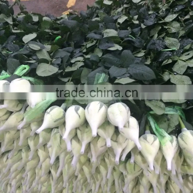 Wedding flowers fresh cut roses Fresh Flower Hand Bouquet decoration fresh flowers