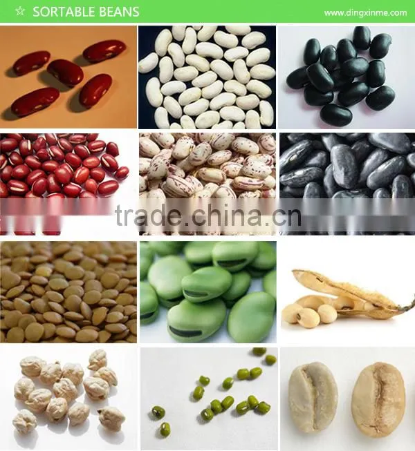 Black Soyabean Bean Color Sorter/Color Selector/Color Sorting Machine/Colour Sorter