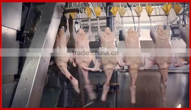 Poultry Chicken Slaughtering Processing Plucking Machine