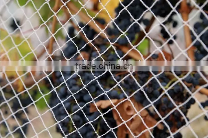 mesh wholesale mist bird net
