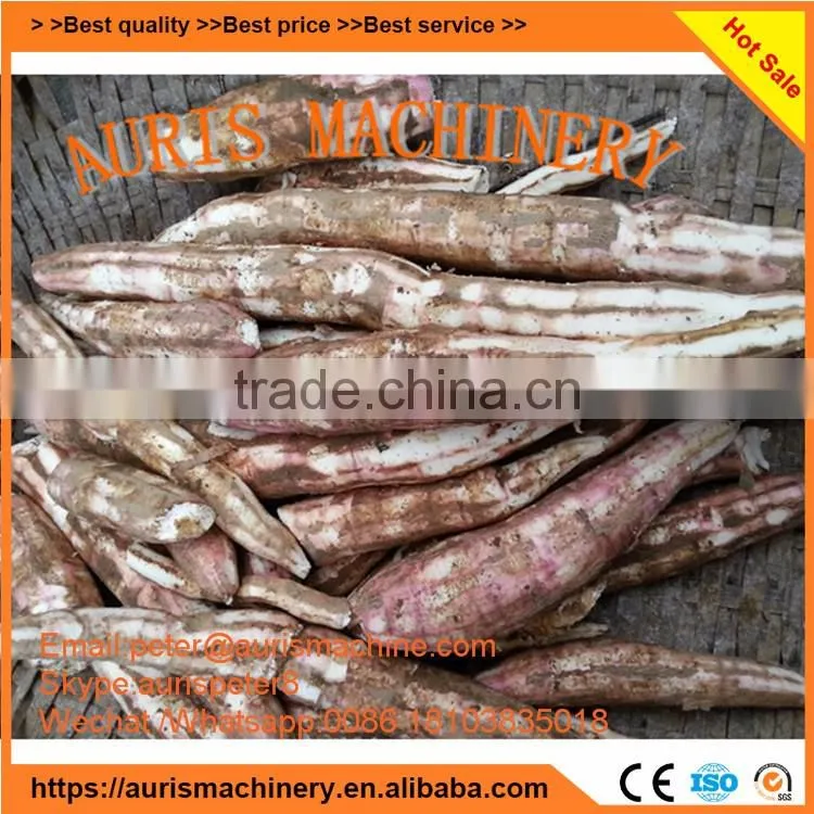 Popular cassava chip root peeler machine