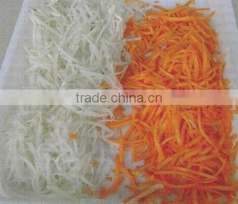 TW-822 Made in Taiwan Ginger procesing Machine (Video)