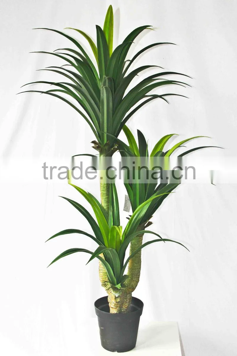 Office decorative green plants