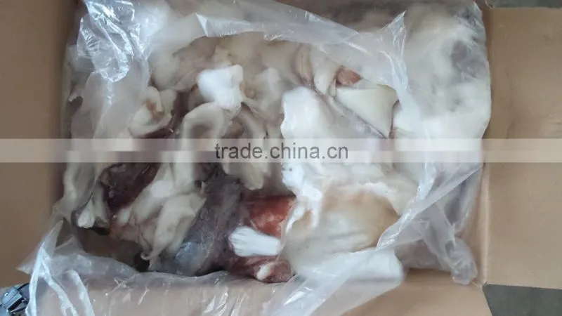 food seasoning ,Frozen Giant Squid Neck