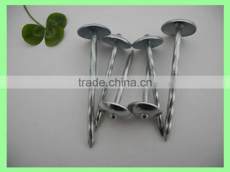 Kenya umbrella roofing nails