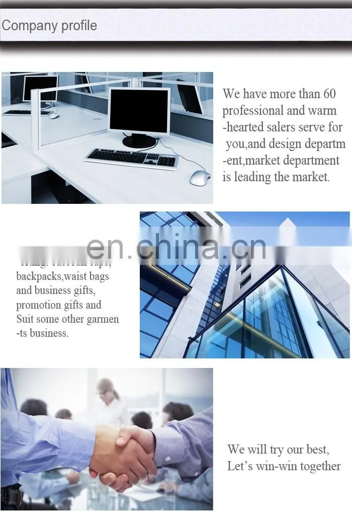 laptop backpack/OEM backpack/fashion backpack