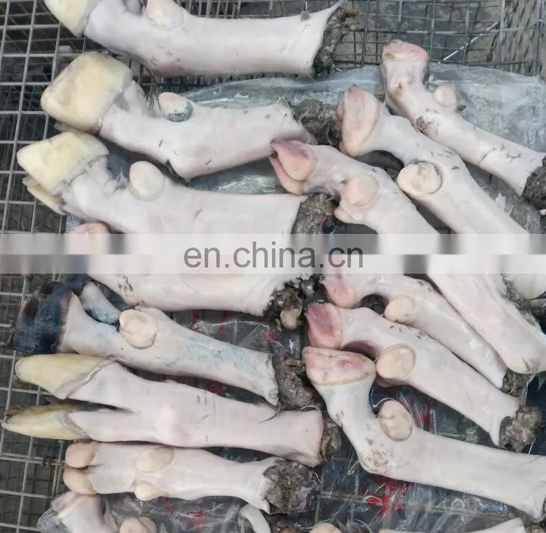 Automatic stainless steel sheep head unhair machine/sheep feet and head unhairing machine for sale