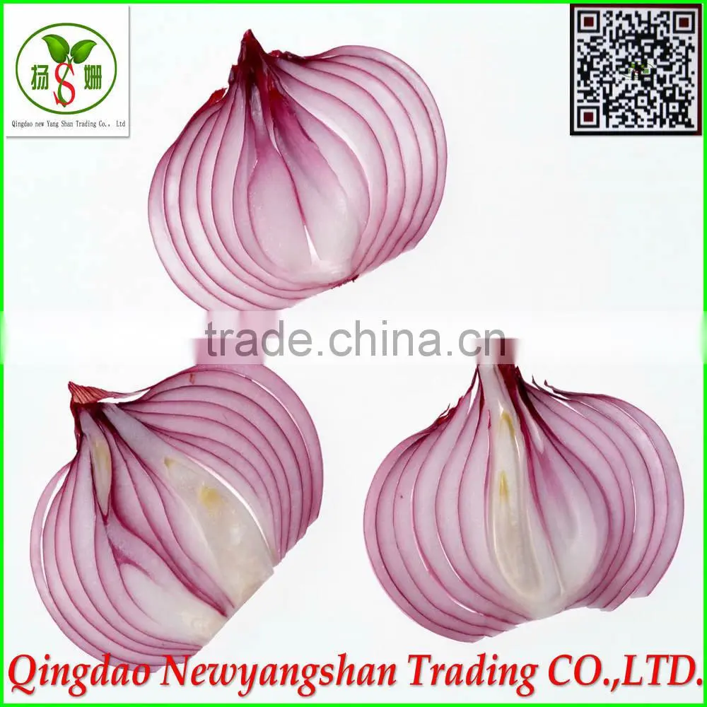 (CHINA) Red Dried Fresh Onion /Fresh Onion
