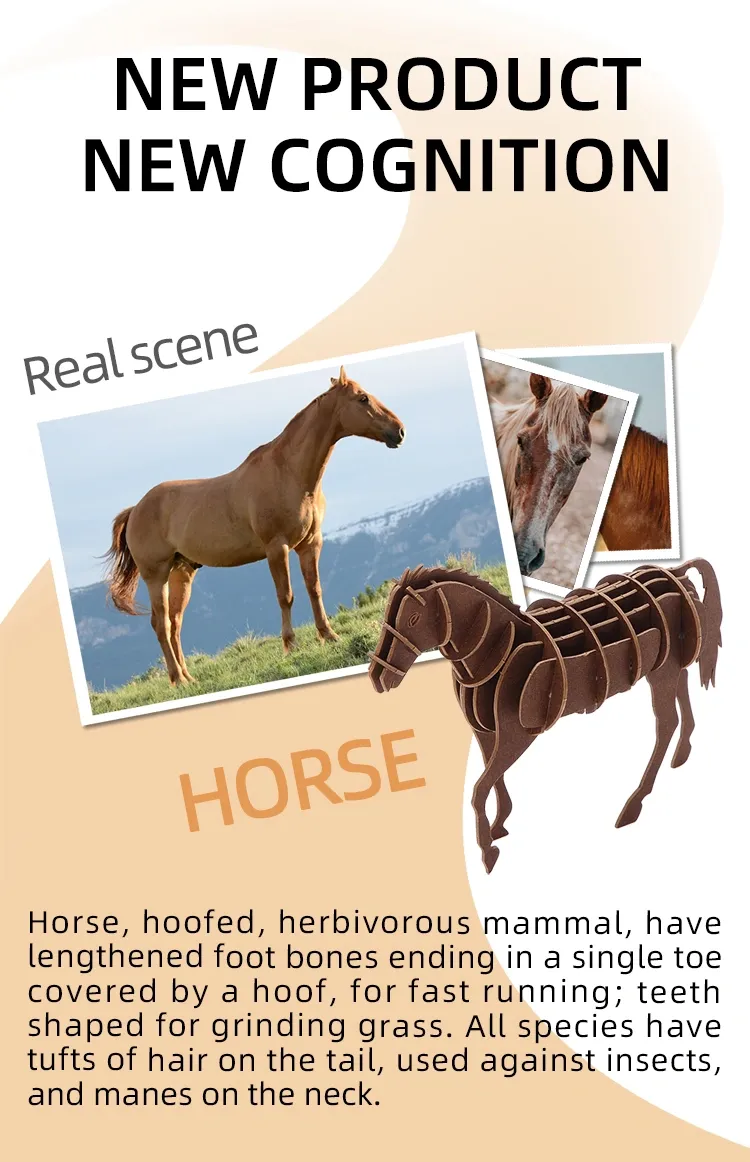 HORSE (2).png