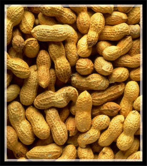 Complete Creamy Peanut Butter Grinding Grinder Making Machines/Peanut Butter Processing Line Production Plant Manufacturer