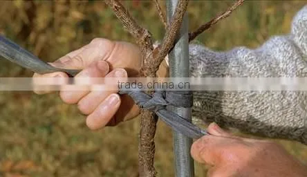 long Life Fiberglass Nursery Stakes