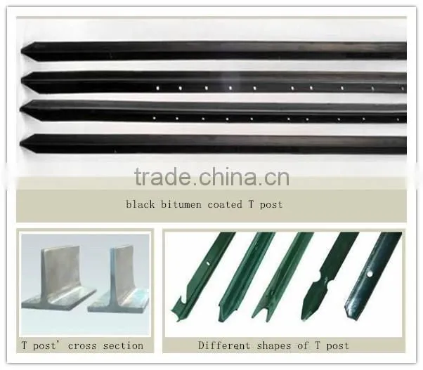 pvc coated high quality cheap 1.25lbs long life time 40mmx40mm t post for china