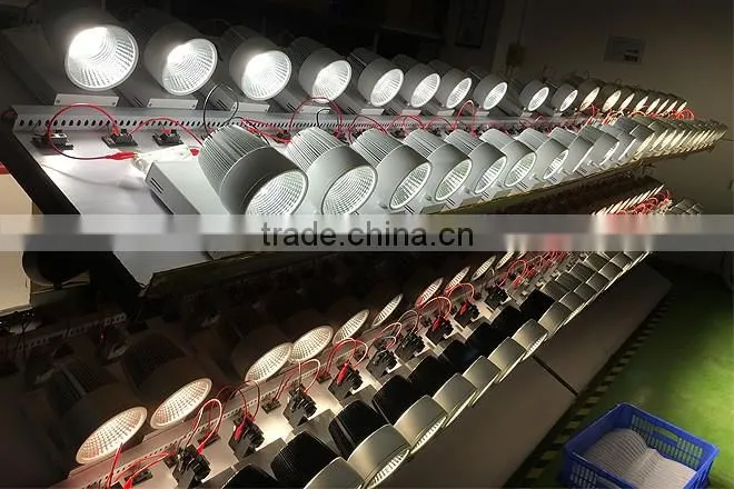 high brightness 130lm/w 2*30W LED COB Tracklight