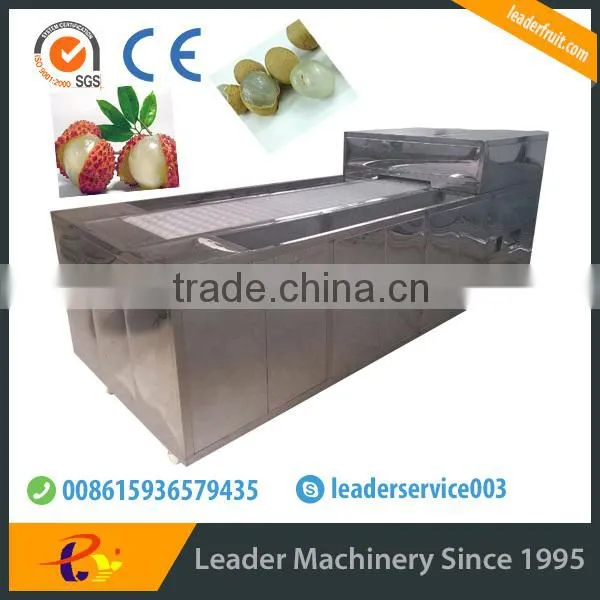 Leader hot sales high quality lychee denucleating machine at a low price