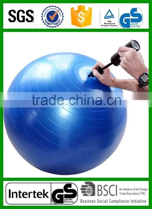 Yoga Custom Stability Ball with Pump Wholesale