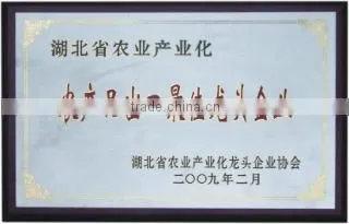 Zigui Diyuan Food And Canned Food Co., Ltd. company overview - view 3