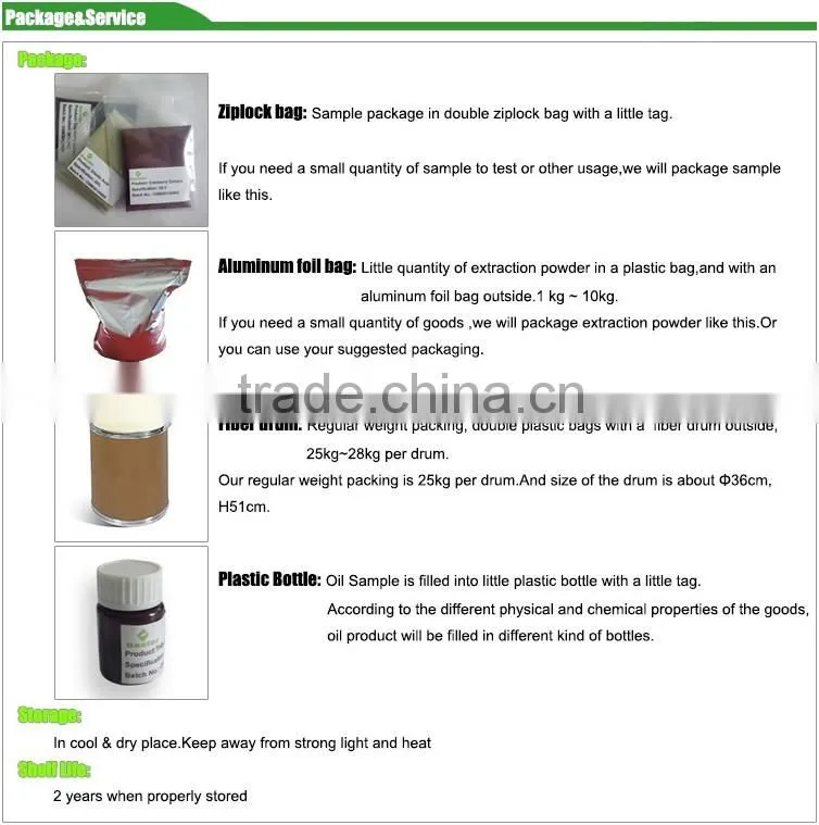 Factory Supply Cranberry Powder For Human Health