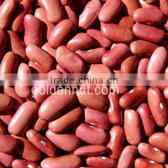 kidney beans