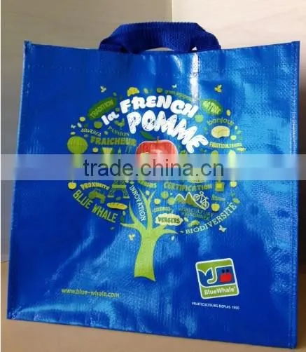 PP Woven shopping Bag