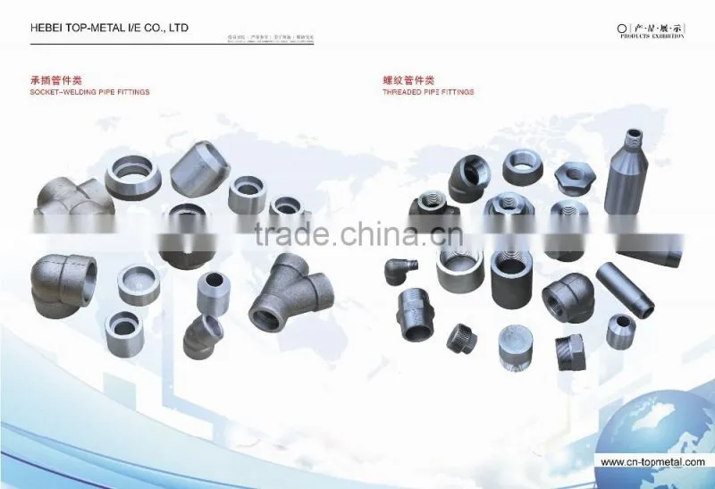 ANSI B16.11 3000LB 6000LB Threaded end A105 F304 F316 Forged Fitting
