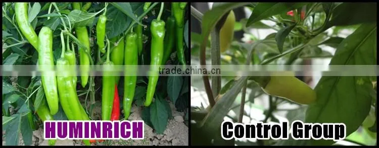 Huminrich Shenyang Organic 70% Leonardite Humic Acid Controlled Slow Release Prill Fertilizer For Saline Soil