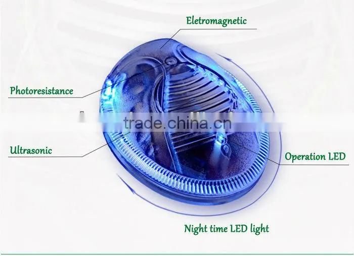 With Different Plugs Electronic Bed Bugs / Spider Repeller Control