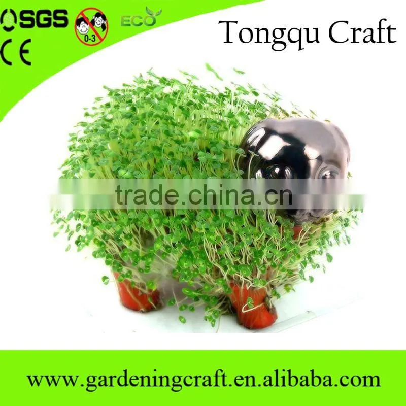 pormo gifts usb chia pet gifts for newly married couple wedding thank you gifts for guests