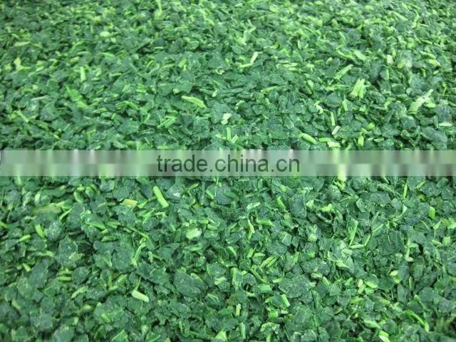 We are supply good quality IQF frozen Spinach Cut BQF