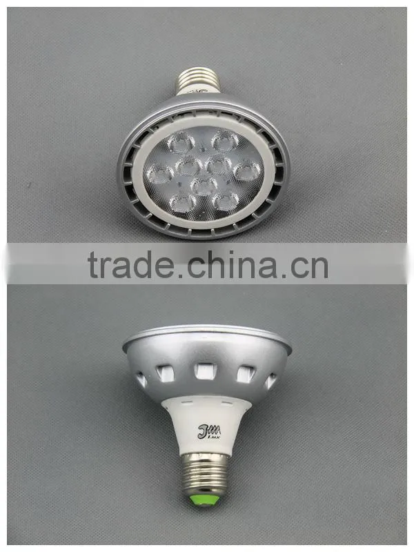 PAR30 12W LED Spot Light Super spot