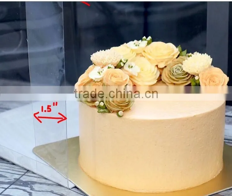 plastic cake box