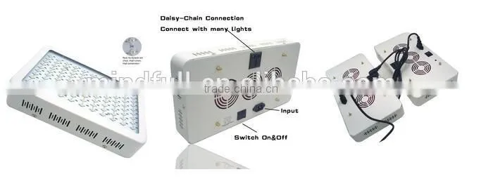 Ebay Hot Greenhouse 900W Led Grow Full Spectrum Light