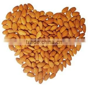 Organic sweet almond in bulk