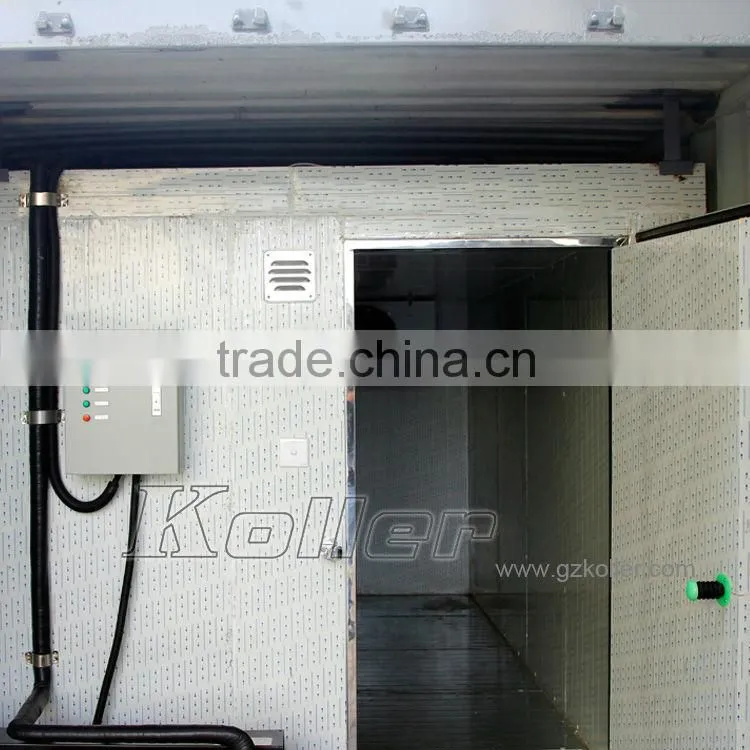 Koller hot sale small capacity cold storage room with refrigerators for fruits VCR20