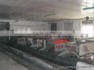 Shouguang Bilong Vegetable Fruit Co., Ltd. company overview - view 4
