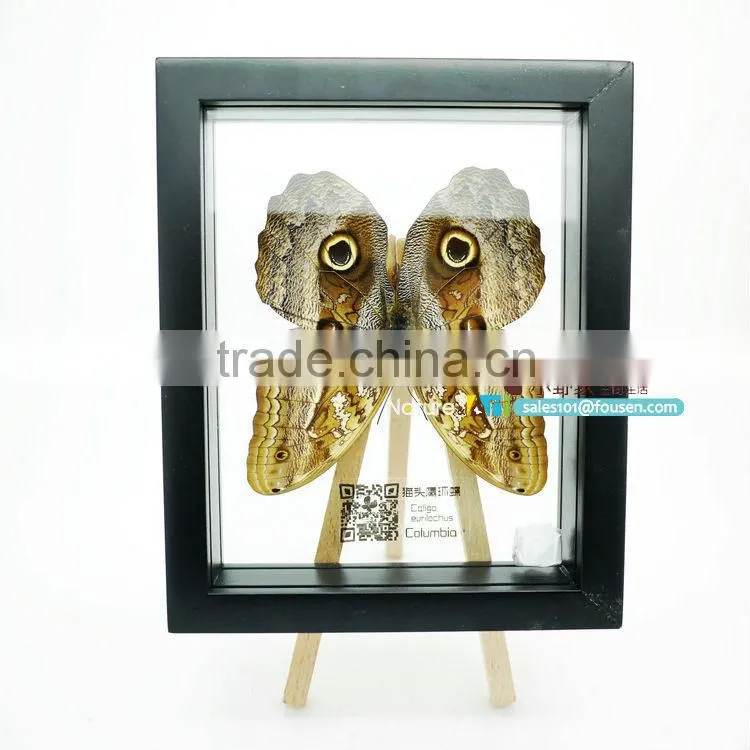 FOUSEN(039) Nature& Art natural gifts and crafts glass souvenir