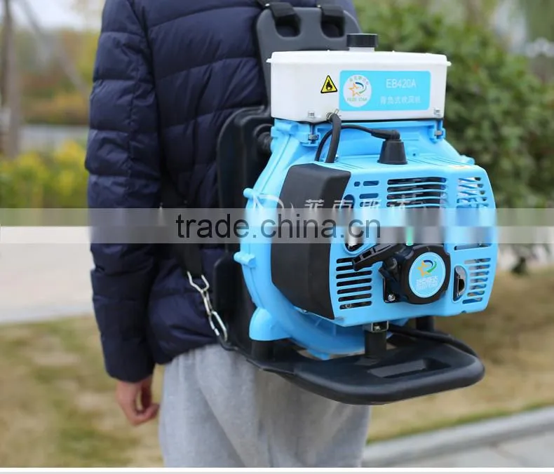 Leaf Blower