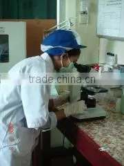 Asia Winner Industrial Limited company overview - view 3