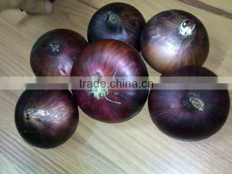 Get New Crop Of Onions