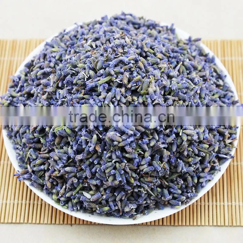 2015 Harvest Dried Lavender Flower,Dried Lavender Tea,China Herb Tea