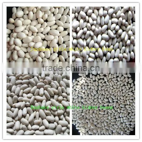 ADZUKI BEAN