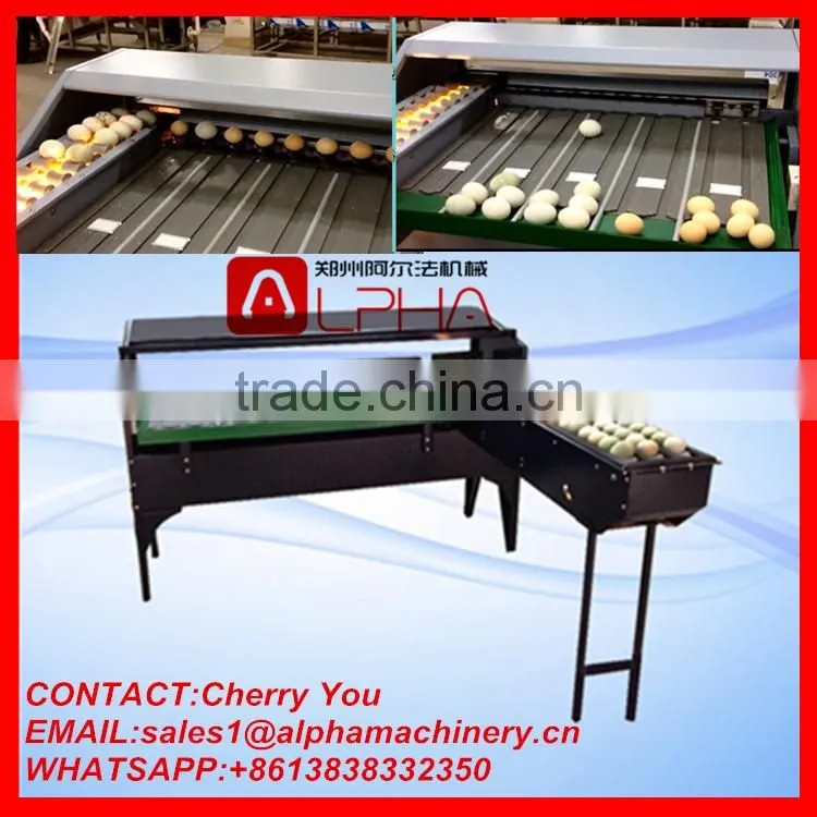 Factory supply egg grading machine for sale/egg grading machine/egg grading machine price