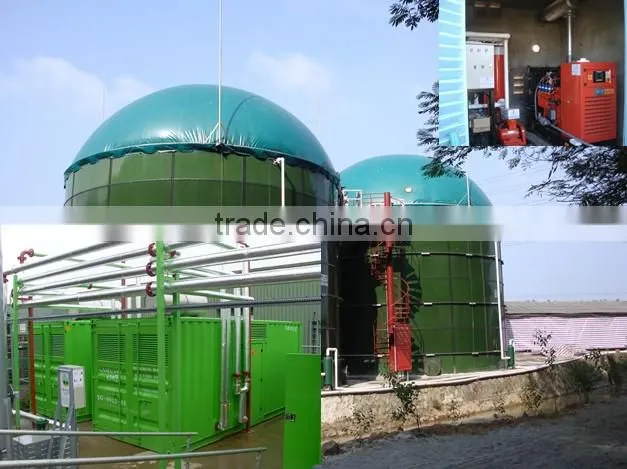BOT/ CDM/TURN KEY biogas project/biomass power plant/Biogas generator power plant