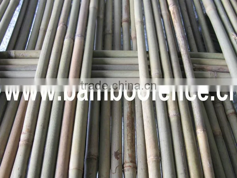Countryside Bamboo Screen