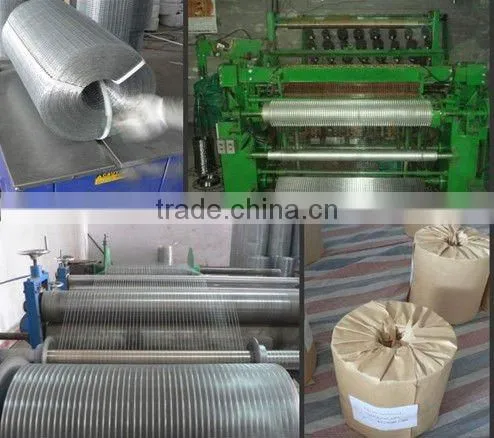 Professional factory manufactured stainless steel welded waterproof wire mesh for screenin/welded wire netting/welded wire cloth